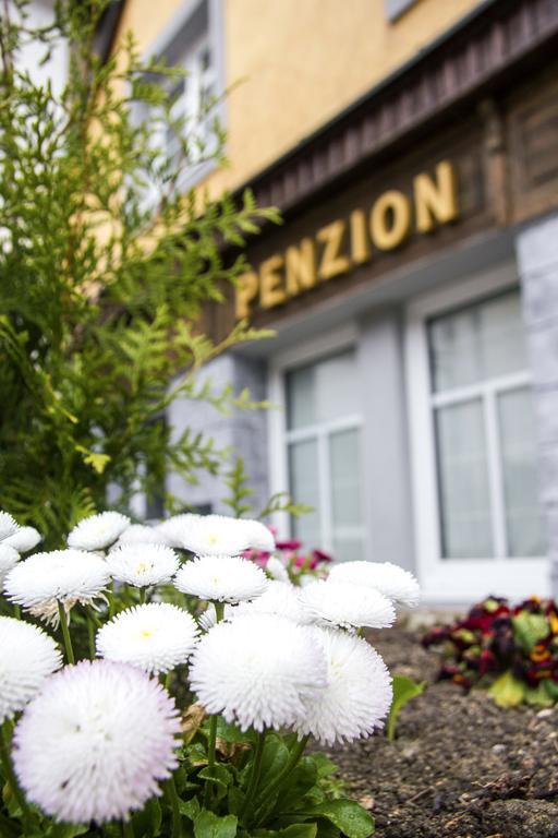 Penzion 43 Bor Exterior photo